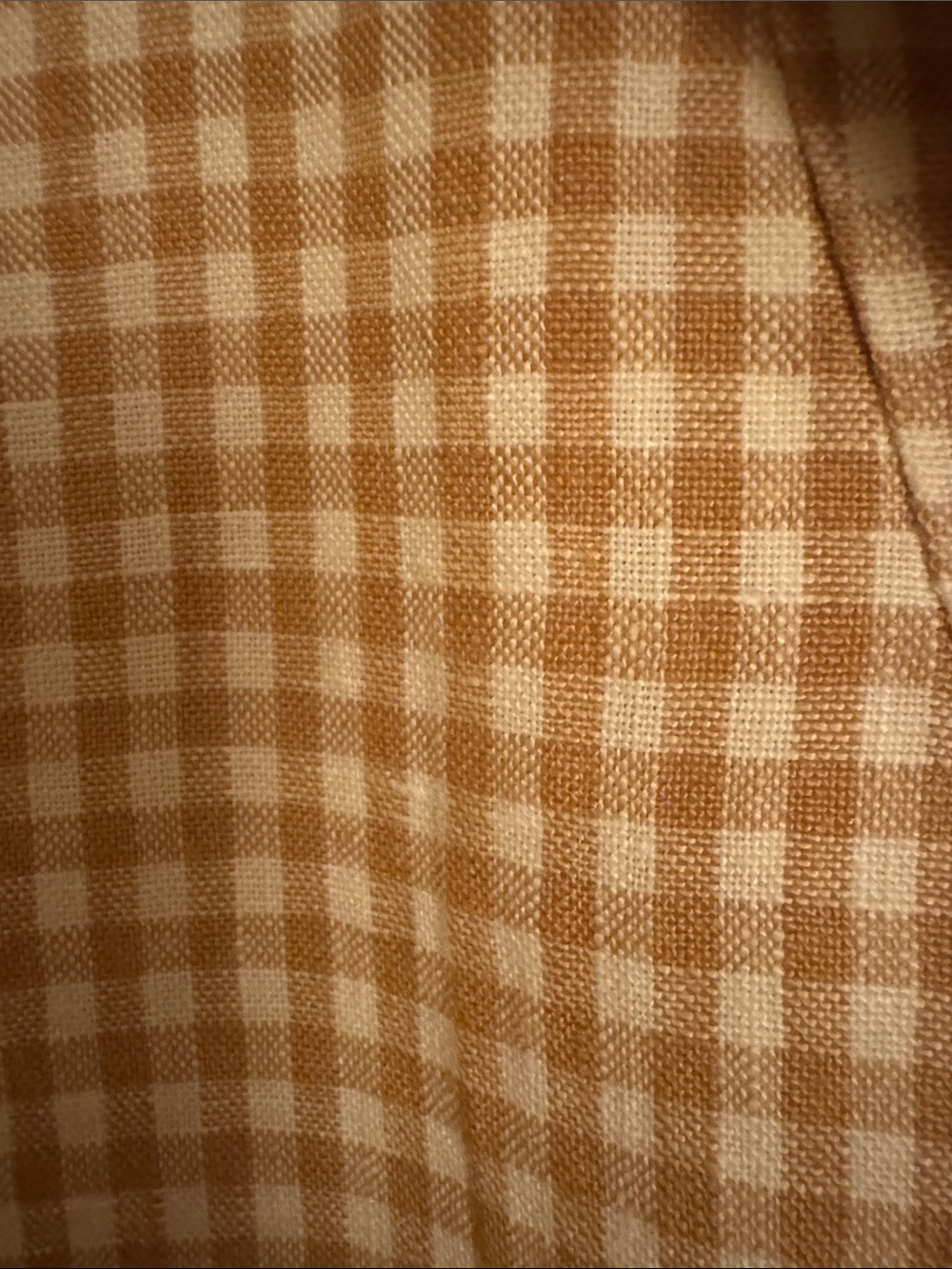 Madewell Tan & White Gingham Blazer - Picture 2 of 9